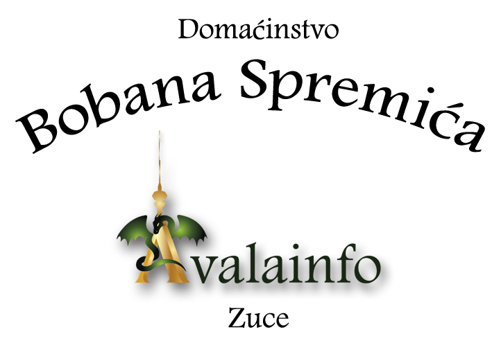Boban Spremic logo jpg