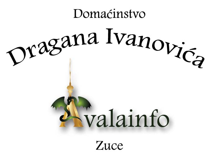Dragan Ivanovic copy