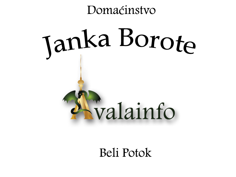 Janko Borota copy